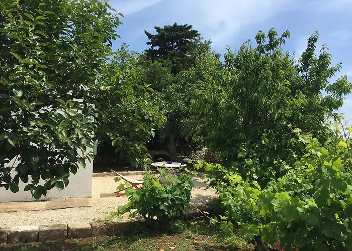 Feriegård Masseria Camarda